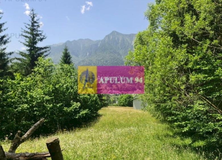 Teren de vânzare în Bușteni - Zona Zamora - 7