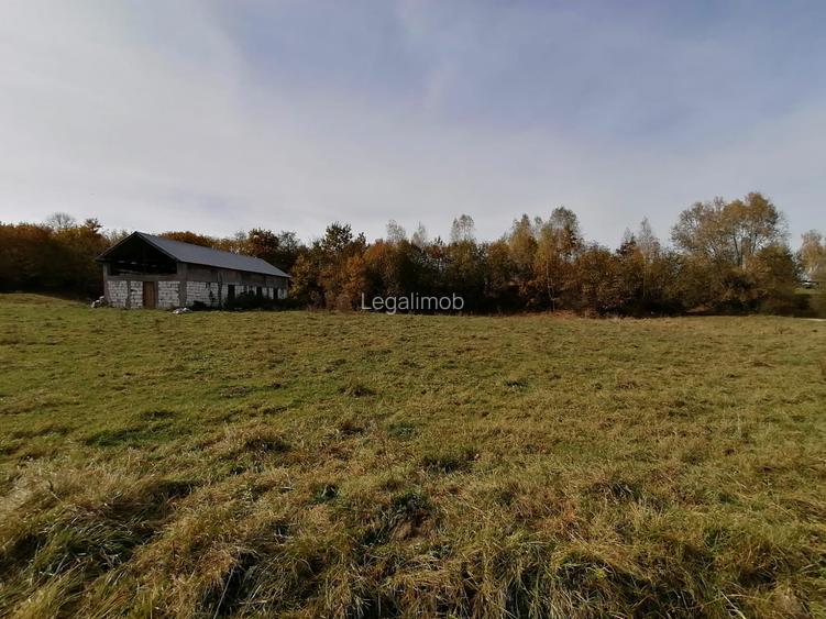 Teren in Sohodol-Bran - 6