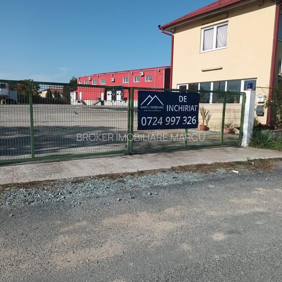 Depozit 600mp Techirghiol - 17