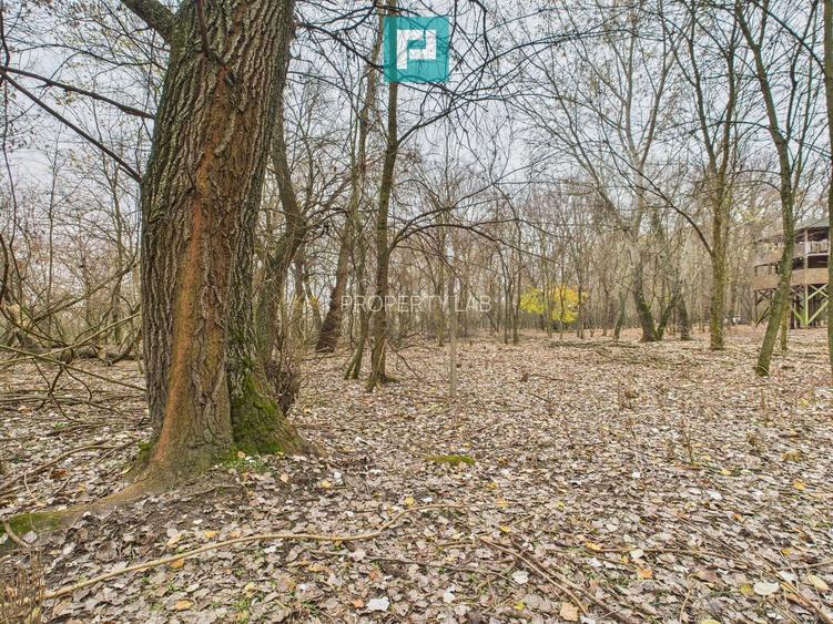 Teren pe malul Muresului- oportunitati multiple - 32