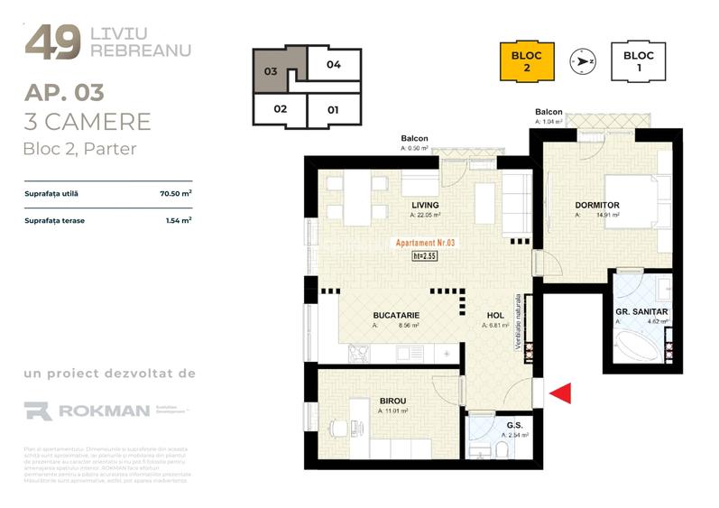 49 LIVIU REBREANU - 18