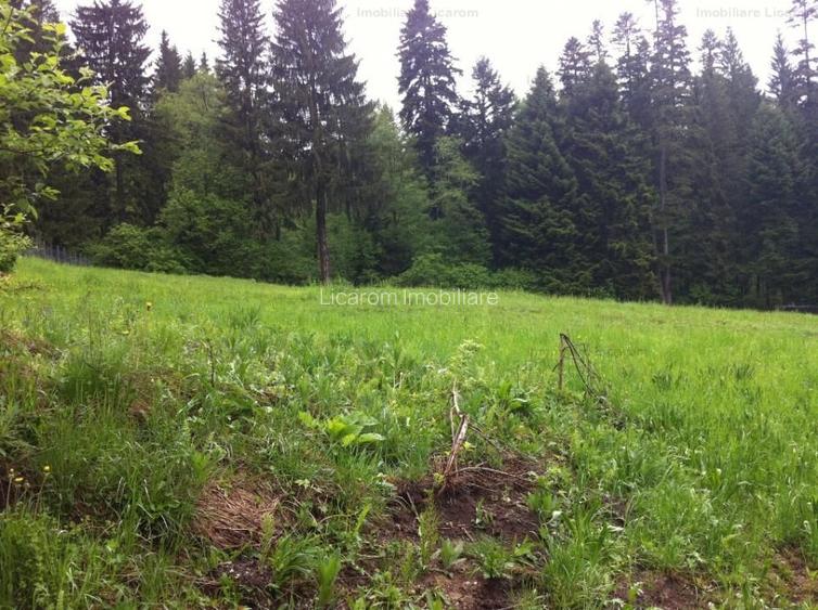 Teren intravilan Cotul Donului,pretabil Hotel/pensiune. - 12