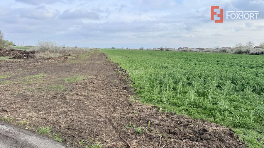 Parcela de teren intravilan de vanzare, 502 mp - Sacalaz - 2