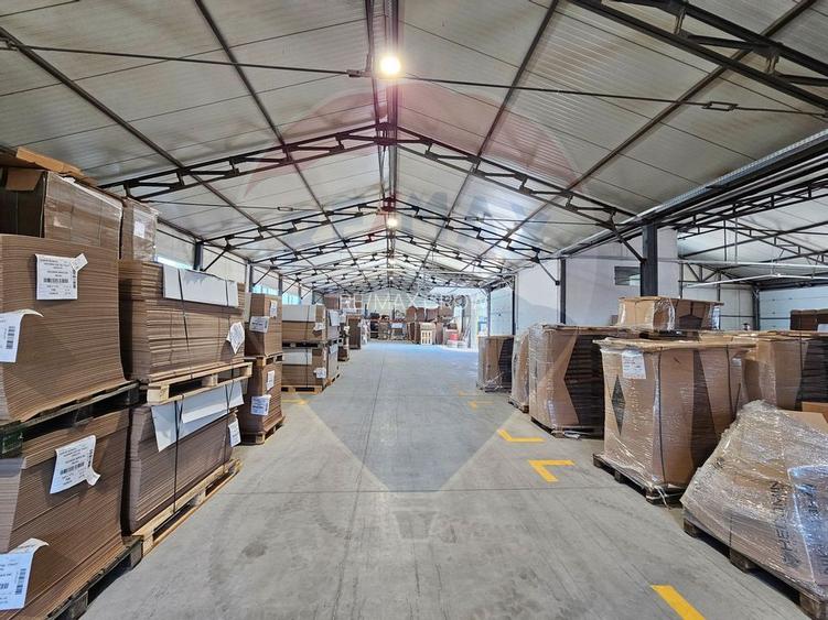Hale Industriale 5065 mp de vanzare Str. Bradului - Bacau - 23