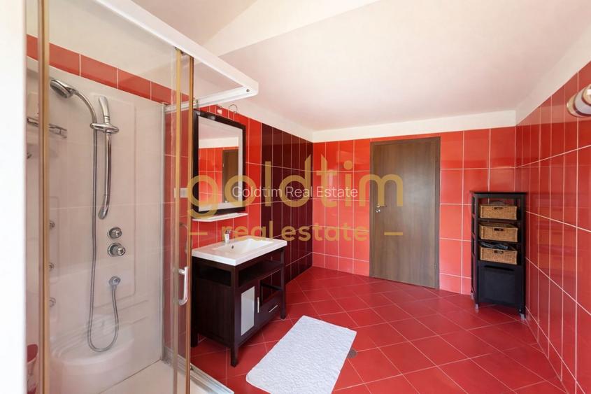 SUPERB/ VILA INDIVIDUALA/ GARAJ/ GRADINA MATURA - 12