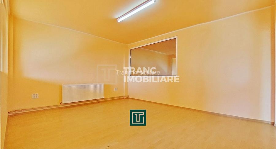 Clădire cu 10 camere în Aradul Nou – ideală pentru investiție/afaceri - 8