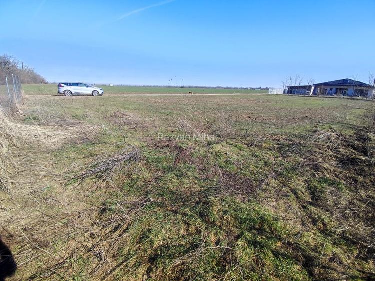 2x Intravilane la marginea Pădurii, zonă Superbă și Liniștită, sat Cultural - 6