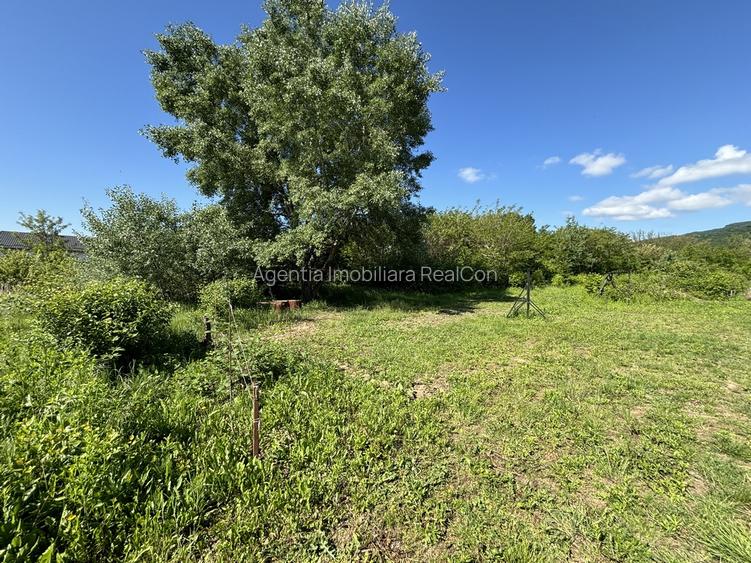 Teren Bujoreni Olteni - 5