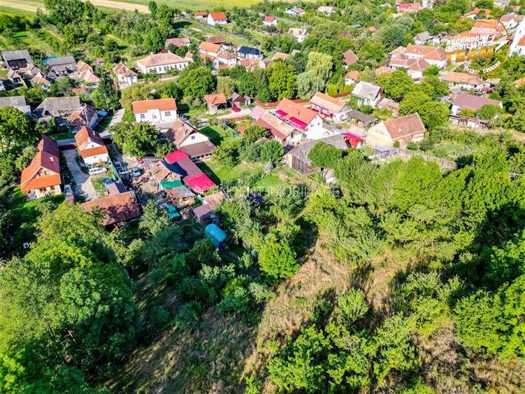 FILM!Areal apreciabil,casa+domeniu de 3.500mp,Sancraiu,vecin Sfantu Gheorghe si - 10