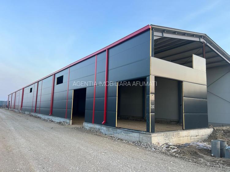 Hale de vânzare Afumați – zona Doraly | 560 mp/unitate | acces DN2, A0, Centură - 6