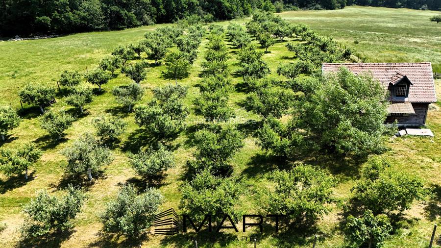 Teren extravilan 5000mp zona Cisnadie - 4