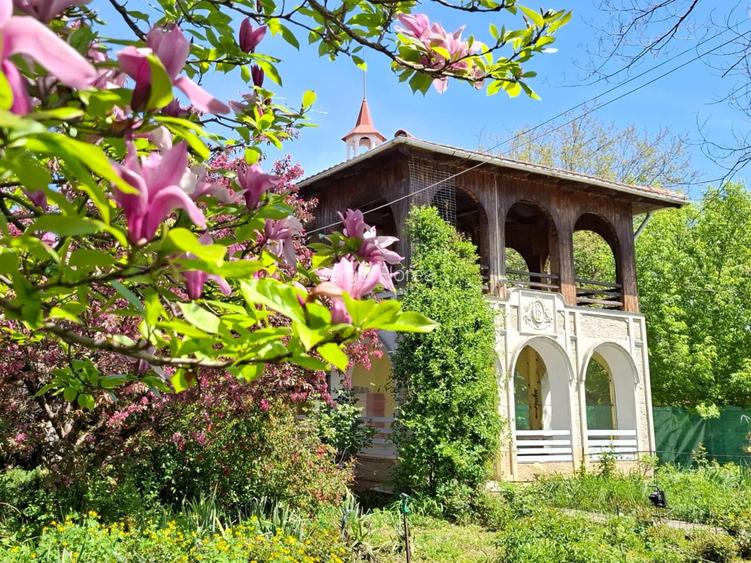 Direct proprietar Vila Superba in inima Snagovului + Garaj si garsoniera separat - 6