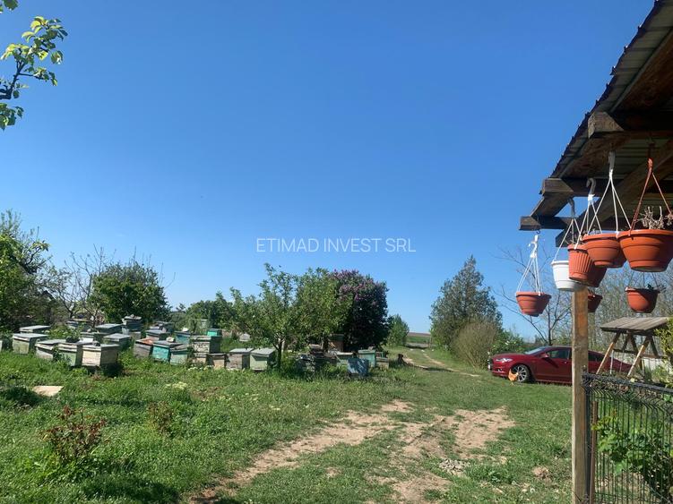 FERMĂ - PIETRENI - DN3 - UTILITĂȚI - 10.680 MP - 30