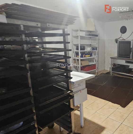 Oportunitate investitionala rara | Locatie ultracentrala | Mehala - 8