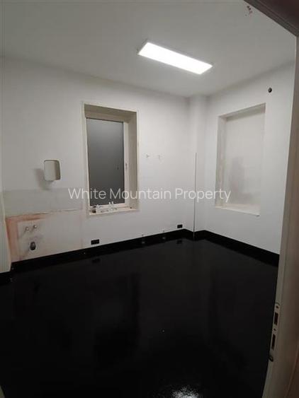 Spatiu comercial 300 mp, inchiriere/vanzare, Eminescu - 9