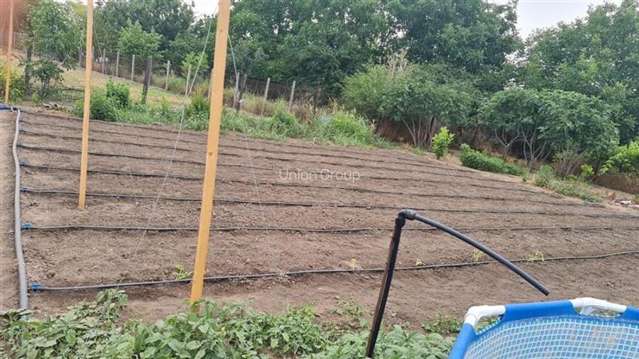 Casa Batraneasca in Topraisar cu Teren de 1711 mp si Deschidere 42 ml - 4