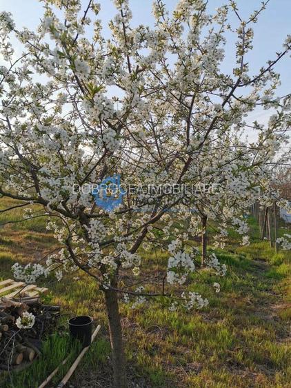 ZONA C.A.P.-TEREN INTRAVILAN ,608MP - 4