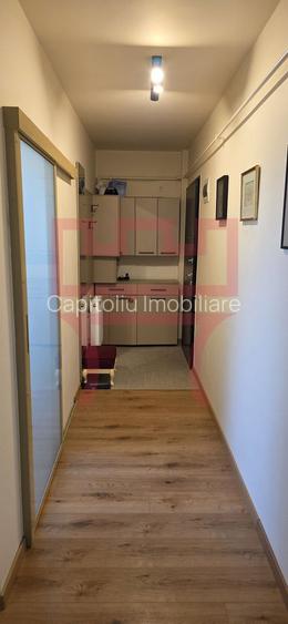 Inchiriere apartament 2 camere mobilat + garaj 7 strazi Emil Racovita - 7