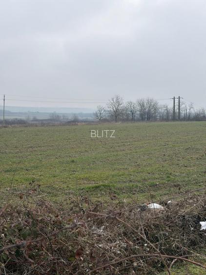 Teren de 9000mp, la intrarea in Filiasi ,la 300m de str. Racoteanu - 7