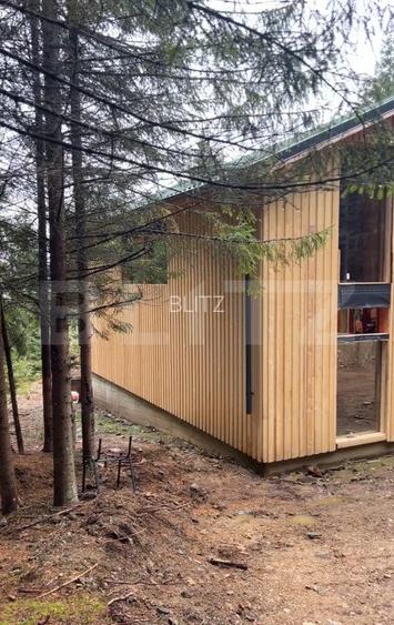 Casa de vacanta | Partia Buscat  - 2