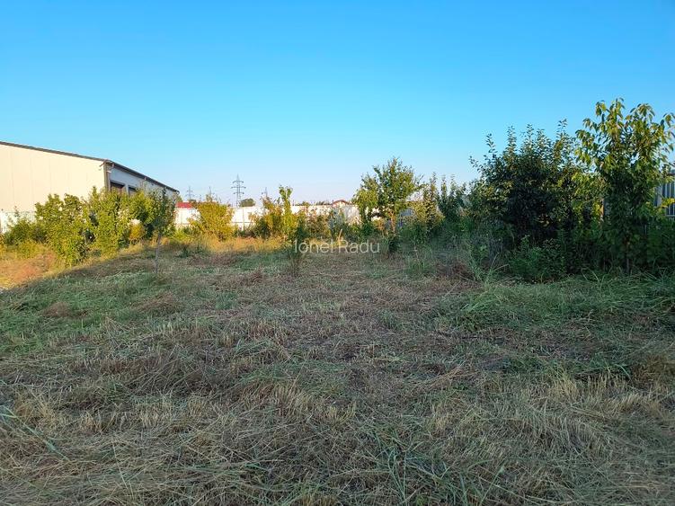!!! URGENT!!! Vând teren Vidin Brăila - 3