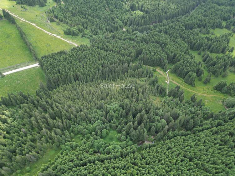 Teren extravilan 5000 MP Comandau - 6