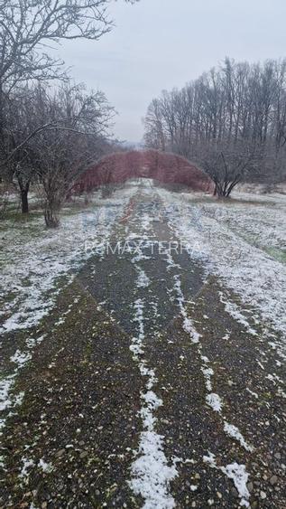 Teren 5,700mp Somcuta Mare / investitie cu potential major - 2