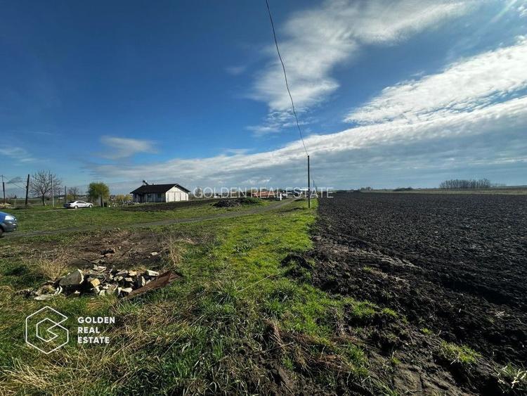 Oportunitate deosebita! Teren 4000 mp, intravilan, Sanpaul - 3