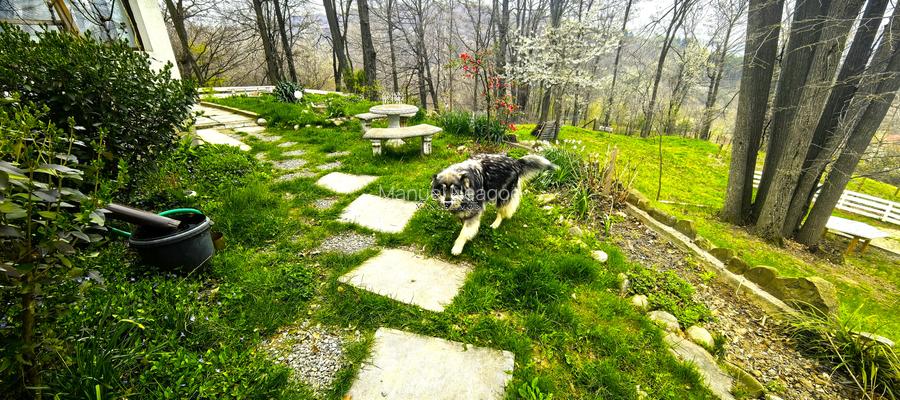 Proprietate Breaza de vis , zona de vis , prezentarea agentului , de vis - 5