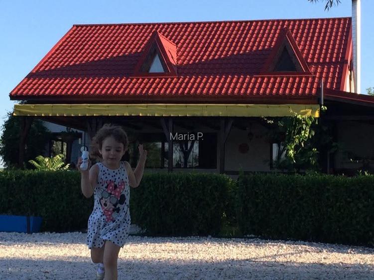 Casă exclusivistă cu ponton privat – Delta Dunării, acces auto - 4