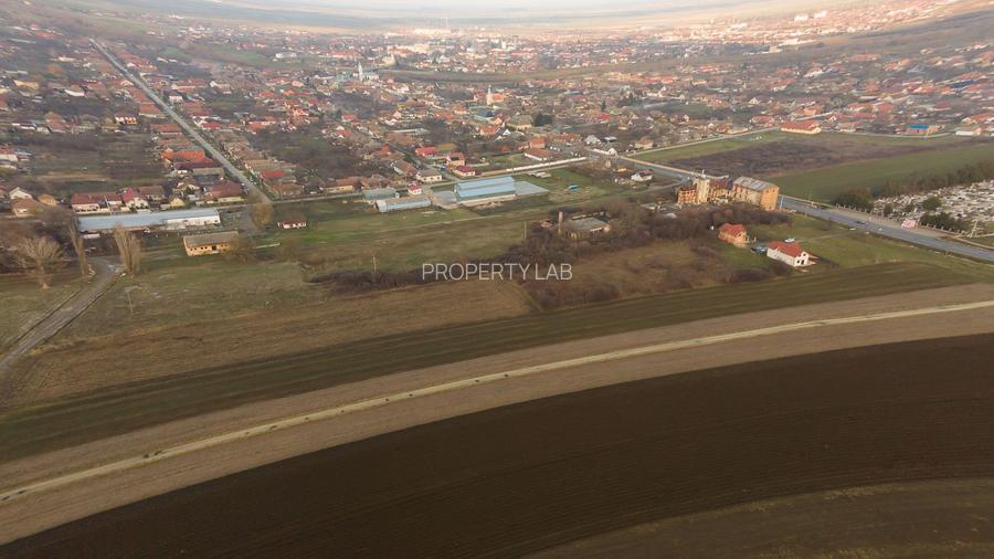 33 parcele intravilane 2 ha în Chișineu-Criș - 14