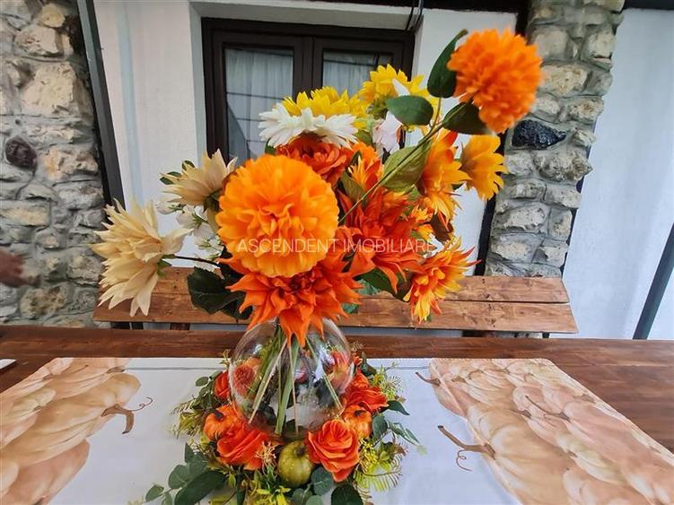 FILM!Descopera oportunitatea! Imobiliar&Transfer Business in inima statiunii Poi - 20