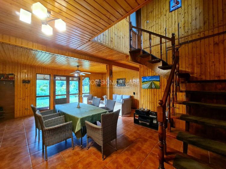 Vila + Afacere 15.000mp Clinceni - 11