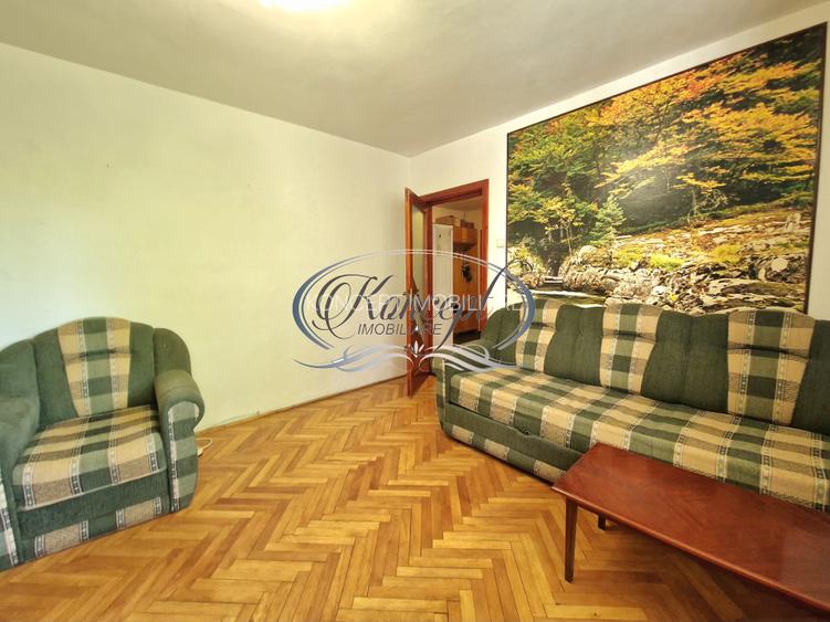 Apartament spatios pe strada Mehedinti - 2