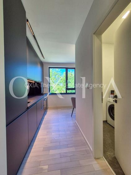 AX1068 Dumbravita, Bulevardul Petre Tutea, Prima Inchiriere - 13