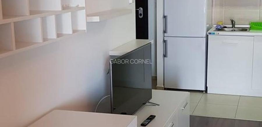 APARTAMENT  CU DOUA CAMERE DE INCHIRIAT  ,  LUX LA MARE INALTIME - 3