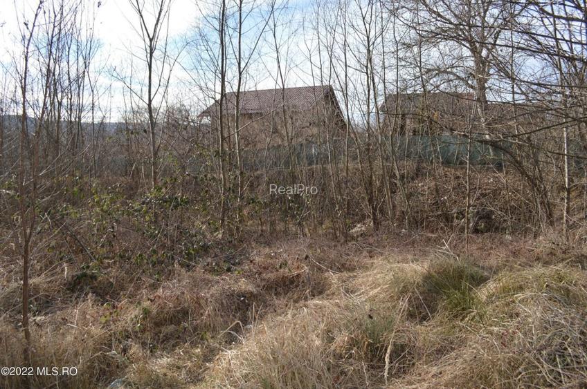 Valea Ursului - DN 7, Teren Stradal 2744 mp! - 9
