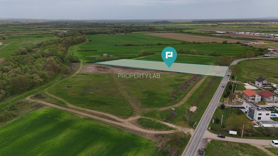 Teren intravilan 5800 mp în Remetea Mare - 3