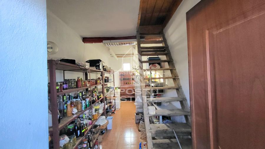 Casa individuala,independenta energetic, 5 camere,teren3783,Peciu Nou - 21