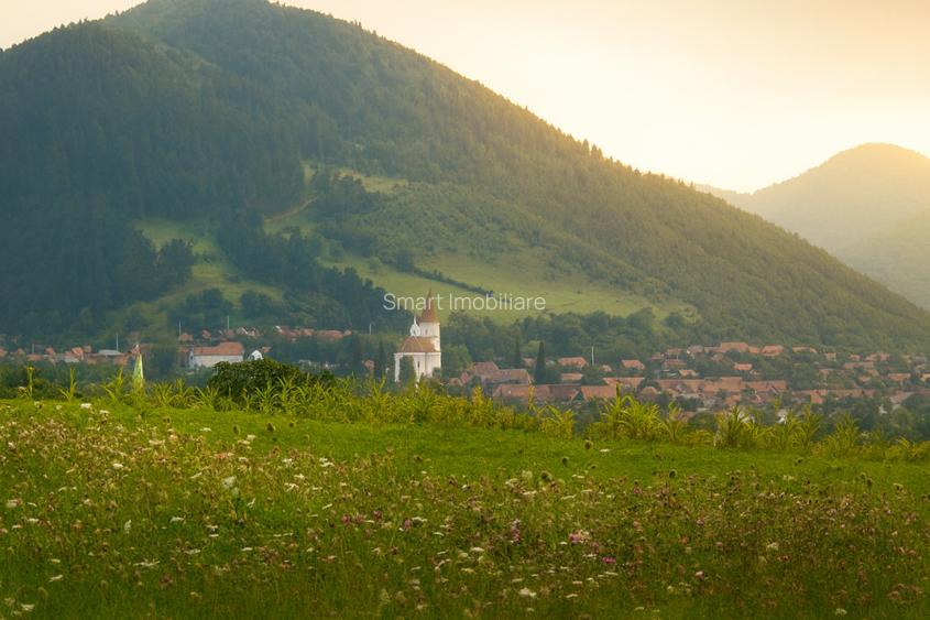 Teren extravilan cu priveliste minunata 3000mp in Rasinari - 2