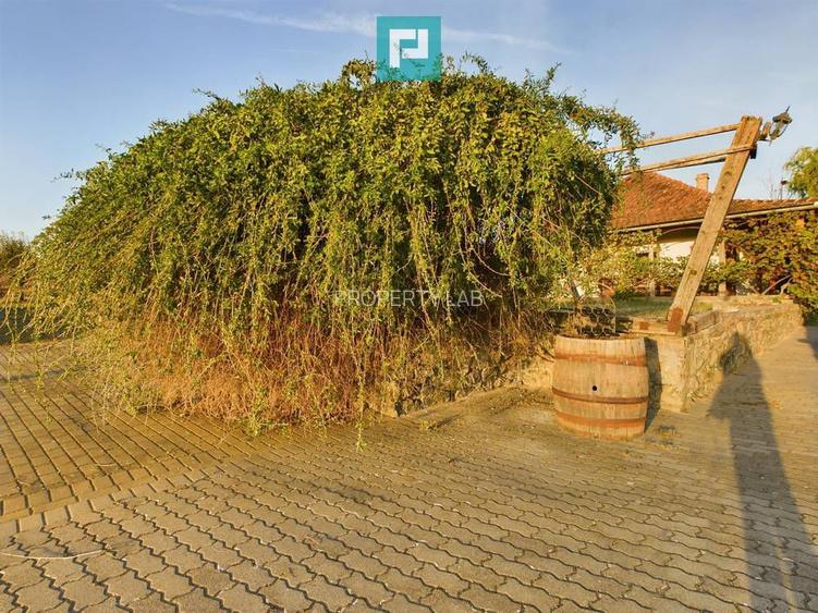 Pivnițele Birăuaș D.O.C Miniș - RATE FĂRĂ DOBÂNDĂ - 33