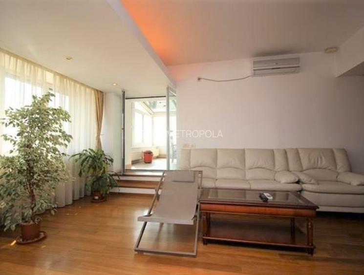 Penthouse 5 camere Gradina Icoanei - 3
