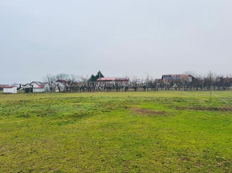 Parcele teren intravilan Fughiu - 3