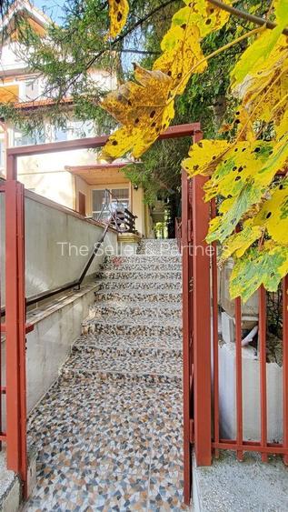 Priveliste spectacula catre Bucegi - 9