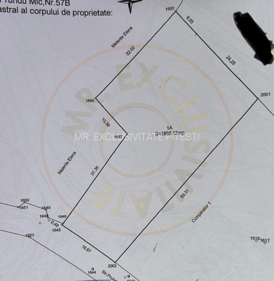 Teren intravilan Prundu - oportunitate excelentă de investiție! - 2
