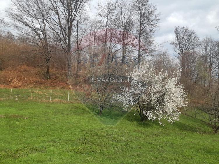 Casă / Vilă cu 7 camere   în zona Bran-Tohanita - 4