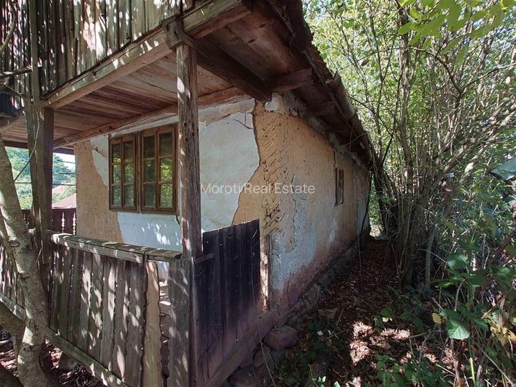 Teren intravilan cu potential, casa si anexe in Lunca - 5