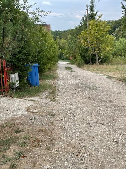 Vand teren 3774 mp Pădurea Scrovistea Peris Balteni - 4