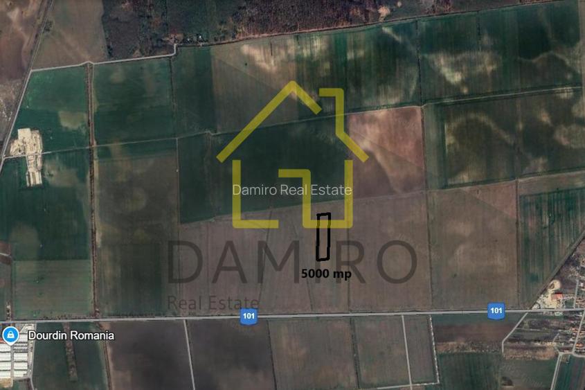 Teren Intravilan 5000 mp Buftea Tamasi - 5