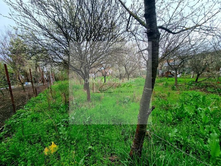 Teren ultra-central Mogosoaia I 1058 mp I Castelul Mogoșoaia - 3